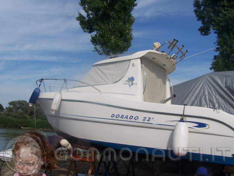 Barca Sessa Marine Dorado 22 Honda bf115a 130 HP 4 tempi
