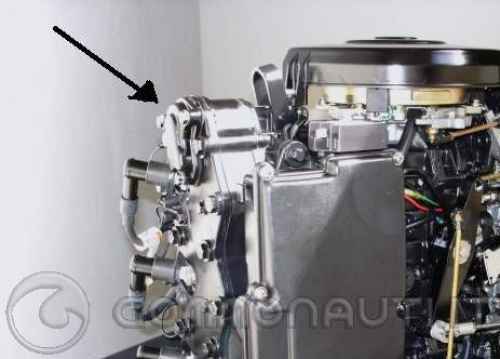 Mariner 40 hp lighting: quanto potrei aspettarmi di spendere?