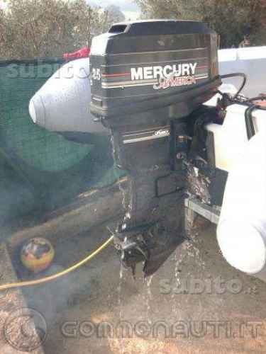 Vendesi Mercury america 25 cv 2t gambo corto