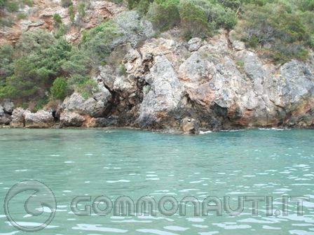 Formiche Di Grosseto Cala Di Forno Spiaggia Di Collelungo E