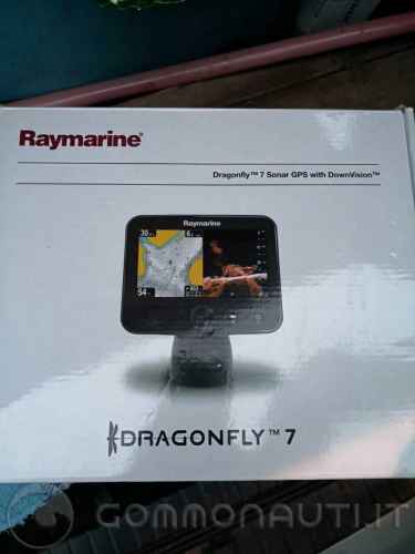 Riparazione Ecoscandaglio Raymarine Dragonfly7