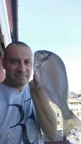 Per i Gommonauti pescatori tra Viareggio e La Spezia