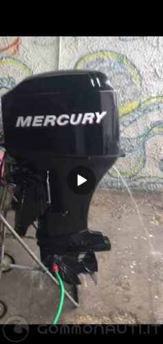 Vendesi Ricambi   Mercury 40 4t   2002
