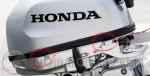 Honda BF6 problema olio motore