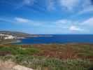 Isola dell' Asinara consigli